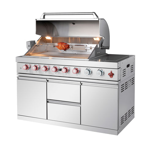 Freestanding Gas Grill with Storage Stainless steel 304